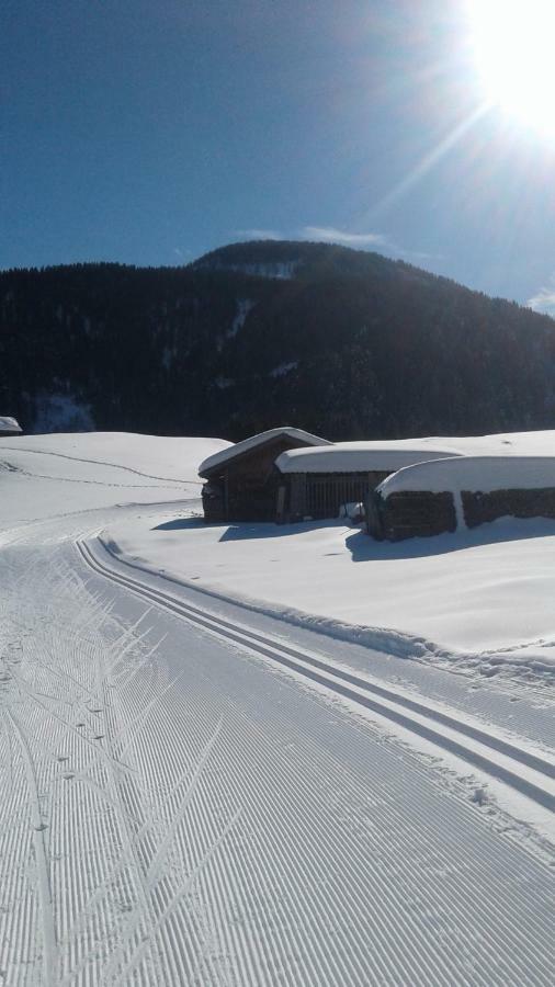 Pension Anderlehof Sankt Lorenzen im Lesachtal Exteriér fotografie